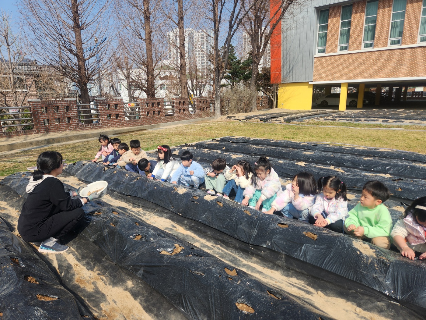 2026. 감자 씨 심기